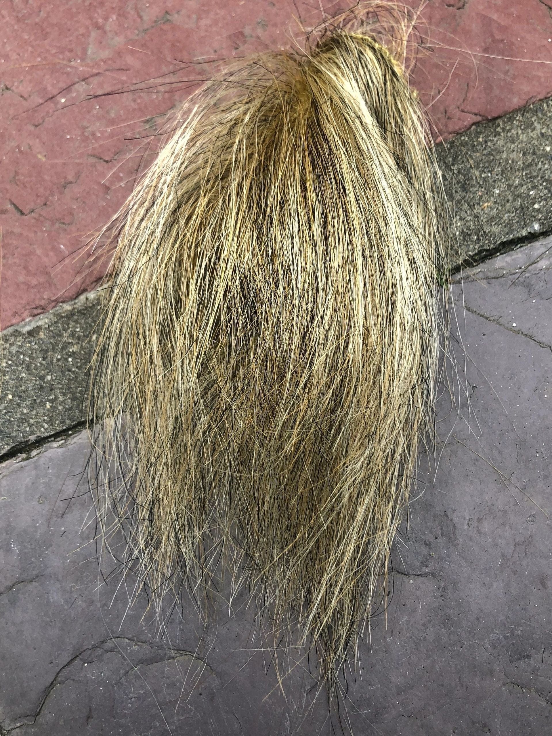 Product image 101