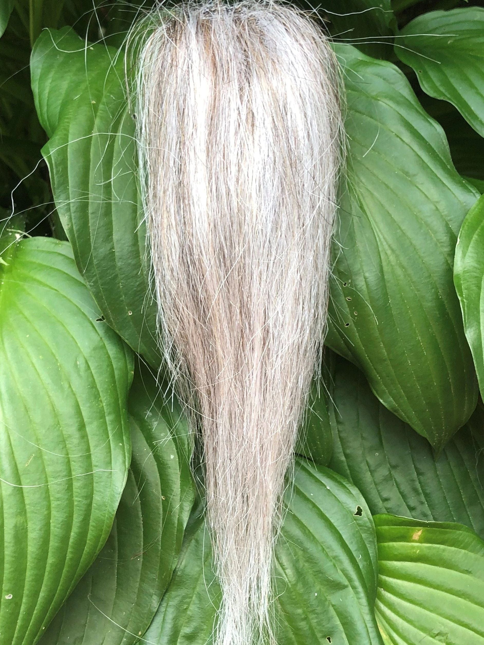 Product image 198